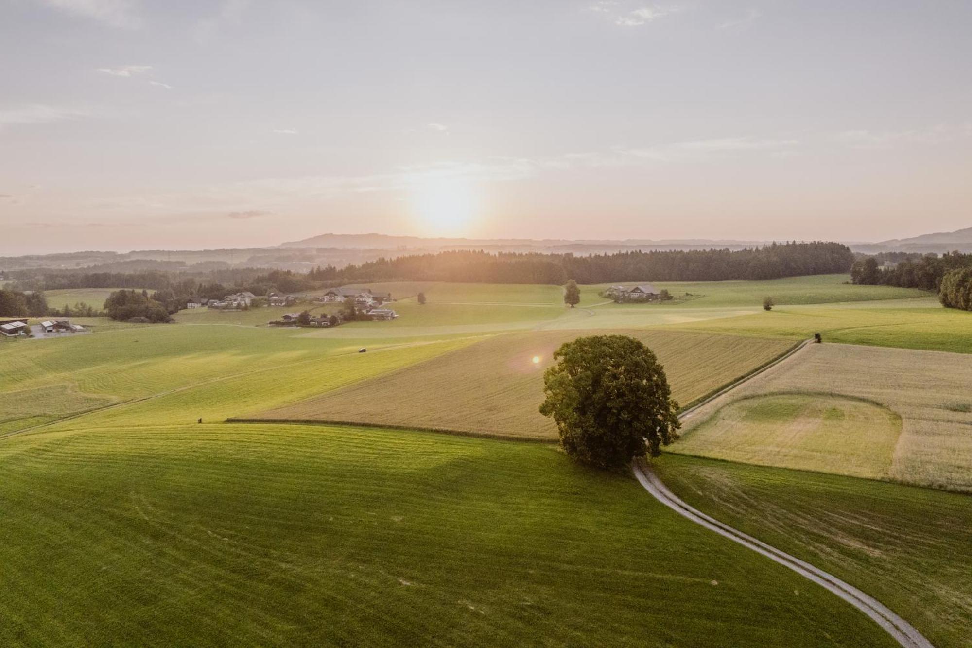 Landhotel Gschirnwirt Eugendorf Dış mekan fotoğraf